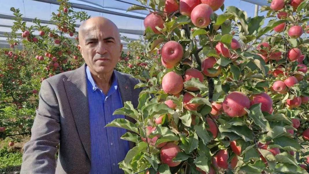 Türkiye’nin en kalitelisi orada yetişiyor! Yılın son hasadı yapıldı: Hem antioksidan deposu hem kalp dostu 5